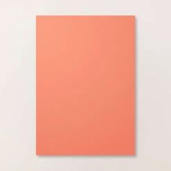 Farbkarton A4 Calypso | Stampin' Up!