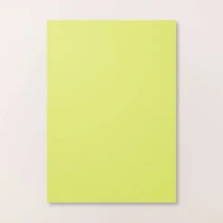 Farbkarton A4 In Limette Von Stampin’ Up!