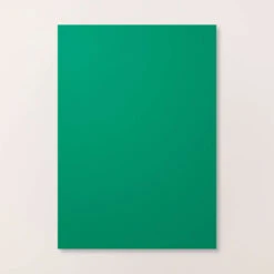 Farbkarton A4 Tannengrün | Stampin' Up!