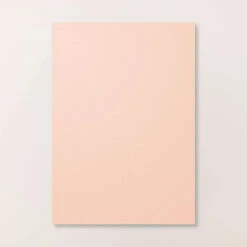 Farbkarton A4 Blütenrosa | Stampin' Up!