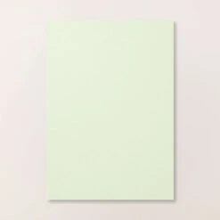 Farbkarton A4 Lindgrün | Stampin' Up!
