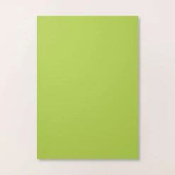 Farbkarton A4 Grüner Apfel | Stampin' Up!