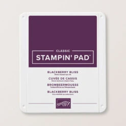 Klassisches Stempelkissen Brombeermousse | Stampin' Up!