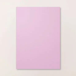 Farbkarton A4 In Freesienlila Von Stampin’ Up!