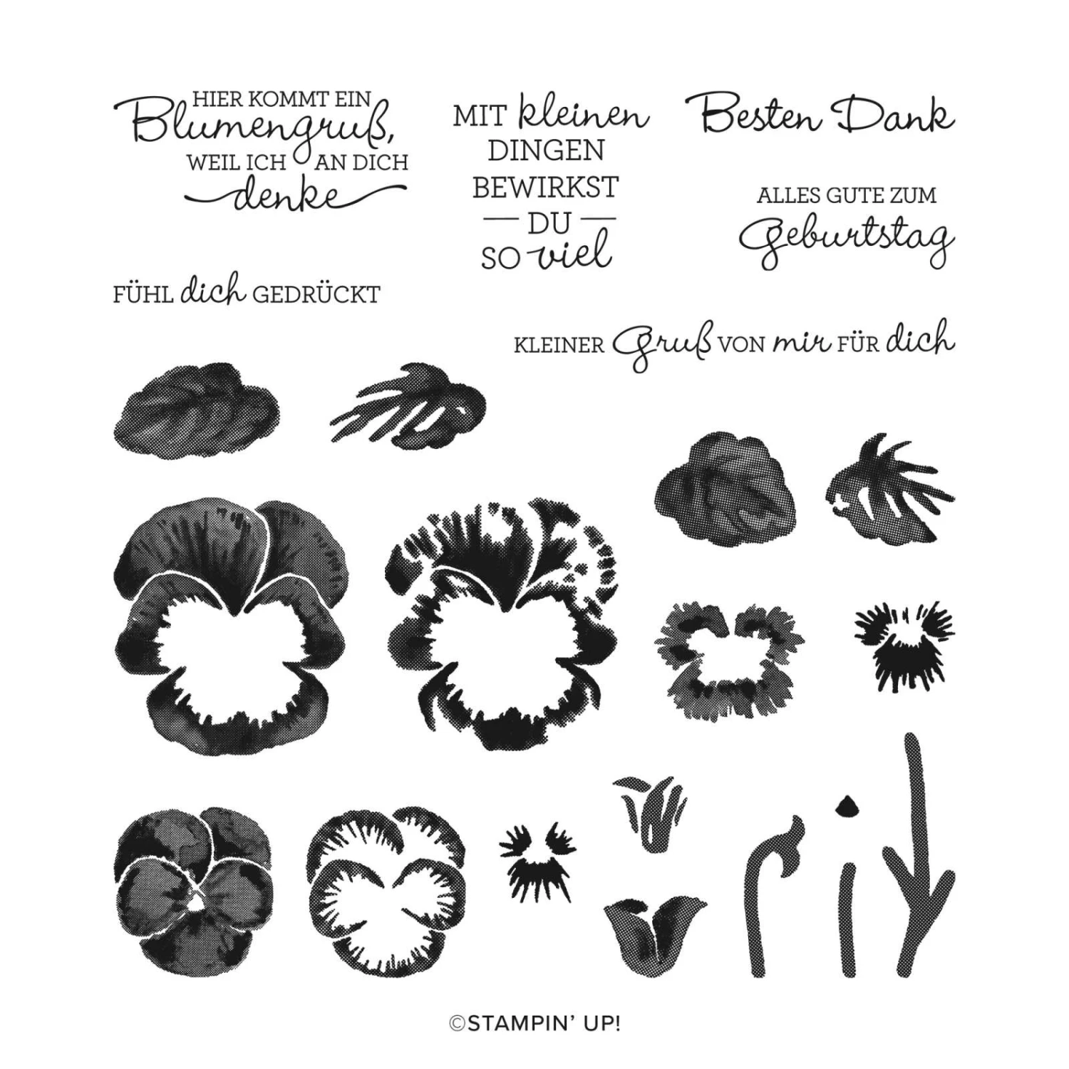 Stempelset Stilvolle Stiefmütterchen Von Stampin’ Up! 3 Stempelset Stilvolle Stiefmütterchen Von Stampin’ Up!