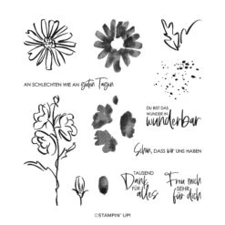 Klarsichtstempelset Konturiert Und Koloriert Von Stampin’ Up!