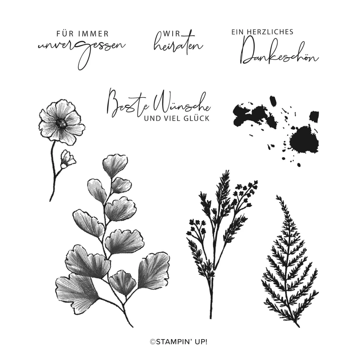 Stempelset Aus Der Natur Von Stampin’ Up! 3 Stempelset Aus Der Natur Von Stampin’ Up!