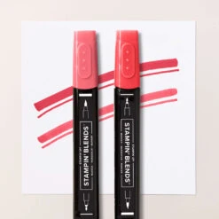 Stampin’ Blends Kombipack In Sommersorbet Von Stampin’ Up!