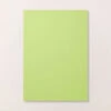 Farbkarton A4 In Papageiengrün Von Stampin’ Up! 