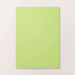 Farbkarton A4 In Papageiengrün Von Stampin’ Up! 