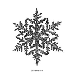 Hintergrundstempel Snow Crystal Von Stampin’ Up!