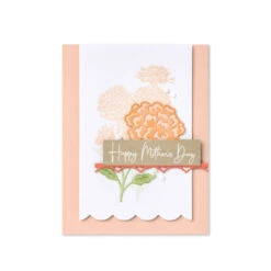 Stanzformen Vogelnest Von Stampin’ Up! -Stampin' Up Verkaufsgeschäft 160488o031