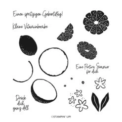 Stempelset Spritzige Zitronen Von Stampin’ Up!