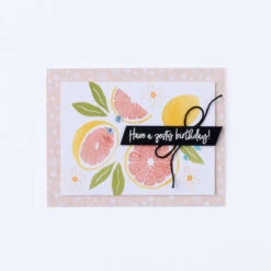 Stempelset Spritzige Zitronen Von Stampin’ Up! 10 Stempelset Spritzige Zitronen Von Stampin’ Up! -Stampin' Up Verkaufsgeschäft 160643o032