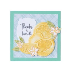 Stempelset Spritzige Zitronen Von Stampin’ Up! 11 Stempelset Spritzige Zitronen Von Stampin’ Up! -Stampin' Up Verkaufsgeschäft 160643o033