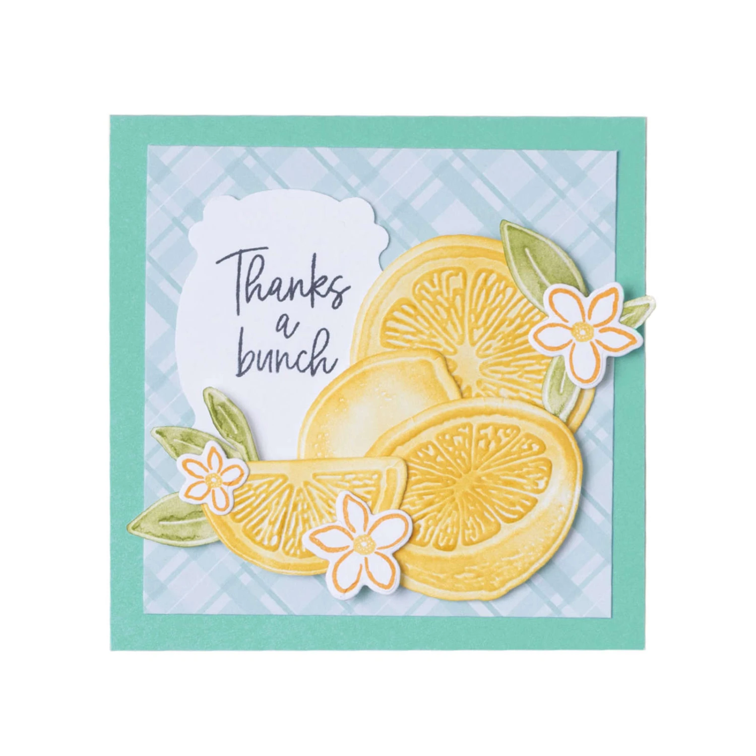 Stempelset Spritzige Zitronen Von Stampin’ Up! 6 Stempelset Spritzige Zitronen Von Stampin’ Up! – Bild 4