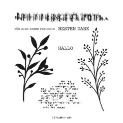 Stempelset Wunderschöne Werke Von Stampin’ Up!