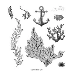 Stempelset Beauty Of The Deep Von Stampin’ Up!