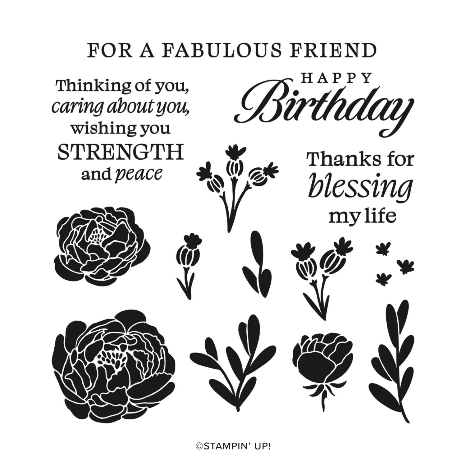 Produktpaket Bold Bouquet Von Stampin’ Up! 4 Produktpaket Bold Bouquet Von Stampin’ Up! – Bild 2