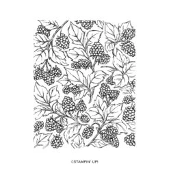 Stampin' Up Verkaufsgeschäft 22 Hintergrundstempel Berry Harvest Von Stampin’ Up!