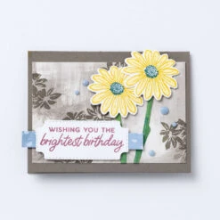 Stempelset Charmante Gänseblümchen Von Stampin’ Up! -Stampin' Up Verkaufsgeschäft 161294o32