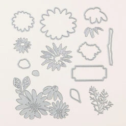 Produktpaket Charmante Gänseblümchen Von Stampin’ Up! -Stampin' Up Verkaufsgeschäft 161299o02