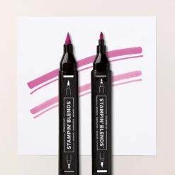 Stampin’ Blends Kombipack In Sommerbeere Von Stampin’ Up! -Stampin' Up Verkaufsgeschäft 161681o01