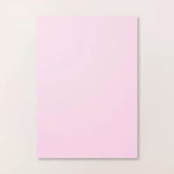 Farbkarton A4 In Babyrosa Von Stampin’ Up!