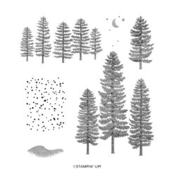 Produktpaket Forever Forest Von Stampin’ Up! -Stampin' Up Verkaufsgeschäft 162058o02