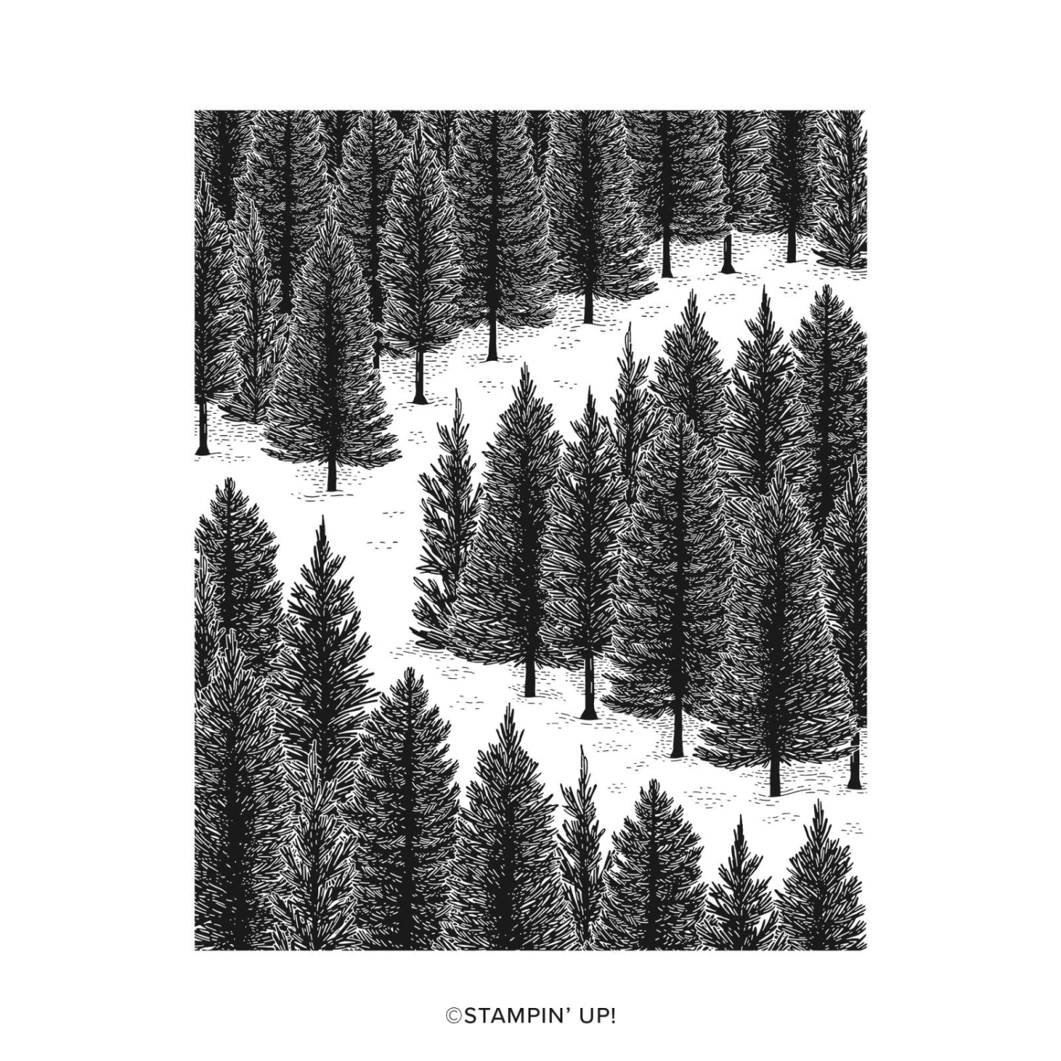 Stempel Fragrant Forest Von Stampin’ Up! 3 Stempel Fragrant Forest Von Stampin’ Up!