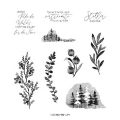 Stempelset Wintertraum Von Stampin’ Up!