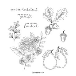 Produktpaket Herbstsegen Von Stampin’ Up! -Stampin' Up Verkaufsgeschäft 162211o02