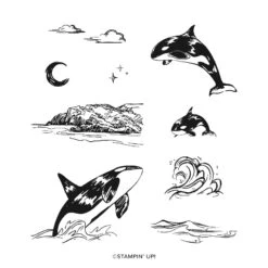 Stempelset Whale Watching Von Stampin’ Up!