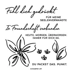 Komplett-kreativset Seelenverwandt Von Stampin' Up! -Stampin' Up Verkaufsgeschäft 162366o02