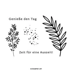 Komplett-kreativset Entspannte Auszeit Von Stampin’ Up! -Stampin' Up Verkaufsgeschäft 162421o02